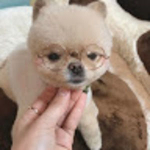 Meet your Posher, Joanne